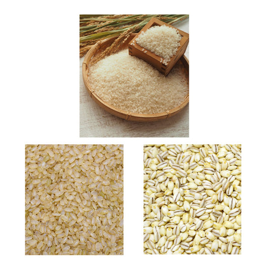 健康志向!コシヒカリ×発芽玄米×もち麦 ミックス 5kg【25年産】