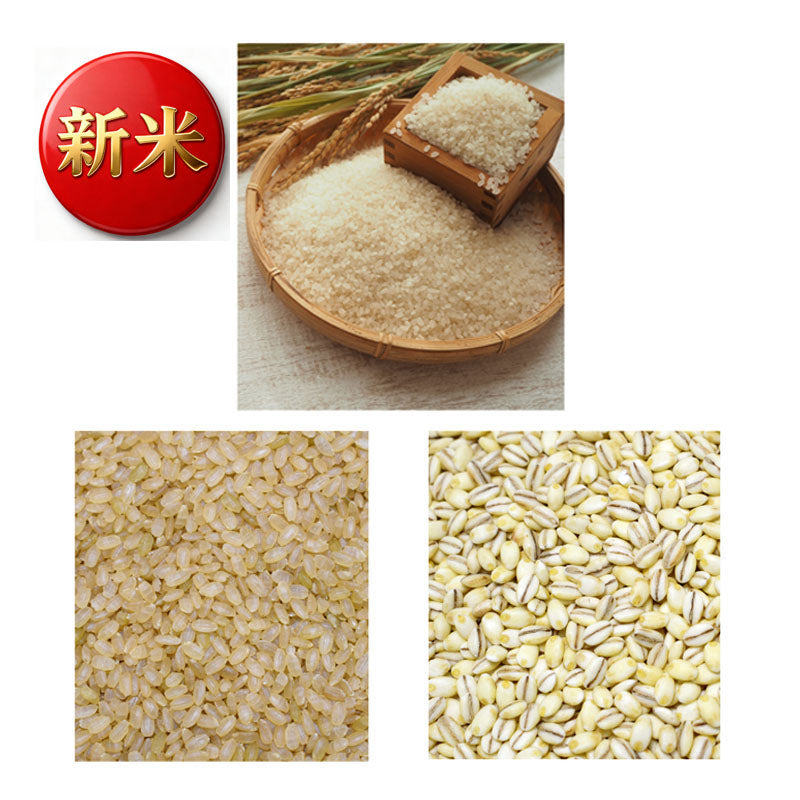 【新米】健康志向！コシヒカリ×発芽玄米×もち麦 ミックス ５kg【25年産】