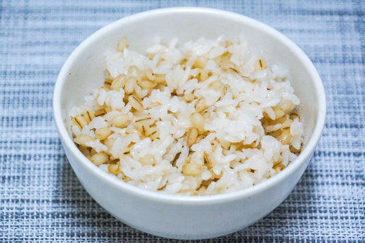 腸が喜ぶ！もち麦ごはんミックス（胚芽精米ベース） ５kg